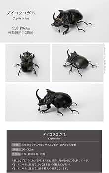 51+50GvbWQL._AC_UF350,